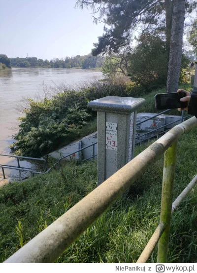 NiePanikuj - @RozkalibrowanaTurbopompa no elo