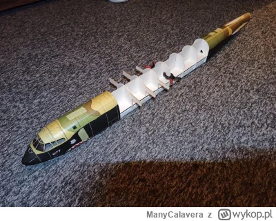 ManyCalavera - @dict: Instrukcja - między te wręgi wchodzą dźwigary