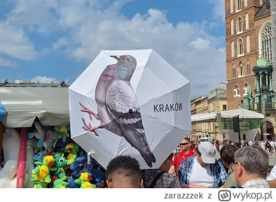 zarazzzek - #krakow #gołąb
