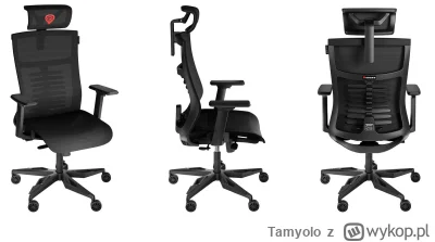 Tamyolo - #pytanie #pytaniedoeksperta #kiciochpyta
Poleci ktoś jakiś fotel ergonomicz...