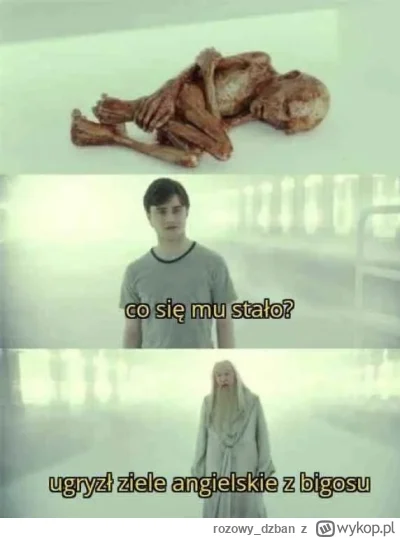 rozowy_dzban - #harrypotter