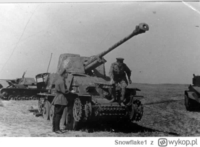 Snowflake1 - widzę że czołgiści się budzą 👍🏻