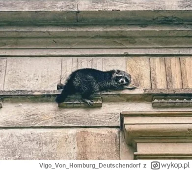 VigoVonHomburg_Deutschendorf - Co chłop wylazł
#szopeknadzis