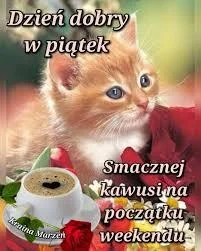 ProstySamarytanin - Udanego dnia Robaczki 



#przegryw