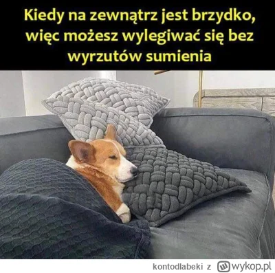 kontodlabeki - Jakiś śnieg z deszczem pada czy coś