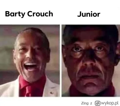 Zing - #harrypotter Junior.