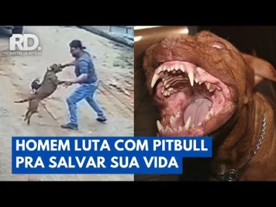 Barte_q - Sposób na chwasta zwanego pitbullem
https://www.youtube.com/watch?v=FpPSxHN...