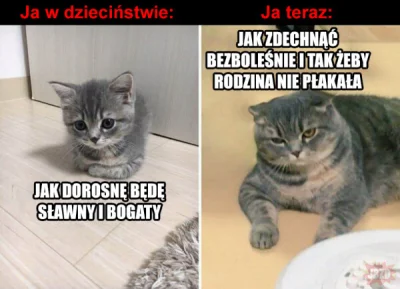 ciacho12345 - #przegryw