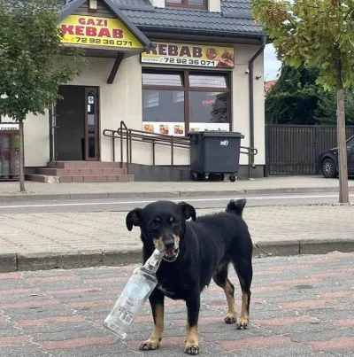 DziecizChoroszczy - Wutki dej