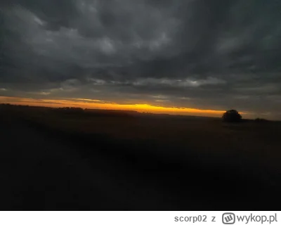 scorp02 - było cimno