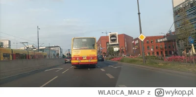 WLADCA_MALP - Nie wiedziałem że można u nas pojeździć zabytkiem w cenie migawki
#zdje...