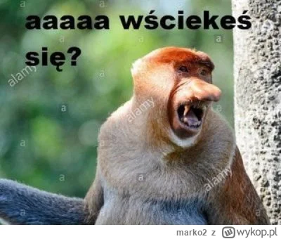 marko2 - #sebcel po kim ty taki chytry na giełdę jesteś