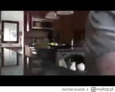 michal-muzyk - #testoviron każda #p0lka marzy o Żydzie z amerykańskim paszportem.