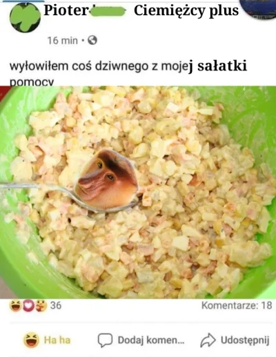 ryhu - #konkursnanajbardziejgownianymemznosaczem