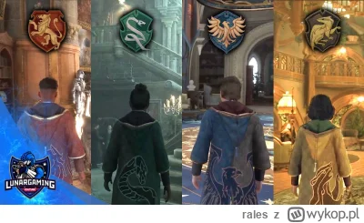 rales - Który dom wybrać?

#hogwartslegacy