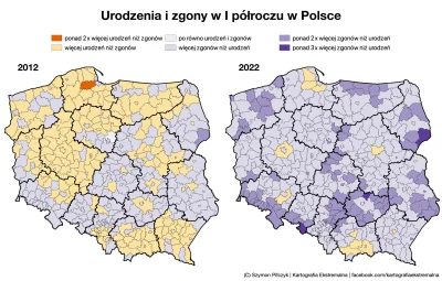 Lifelike - #graphsandmaps #polska #demografia #mapy #kartografiaekstremalna