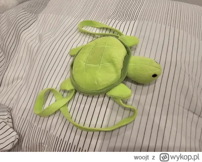 woojt - @wybryk_natury Mam swojego żółwia