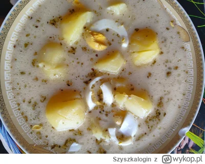 Szyszkalogin - #przegryw #glodnyjakpies