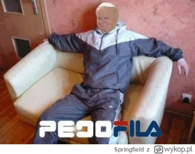 Springfield - #modameska