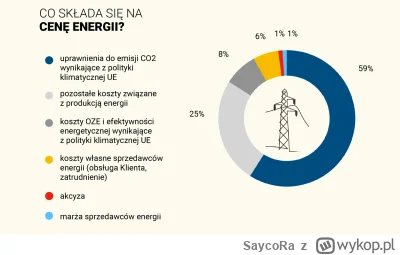 SaycoRa - Składowe cen energii.