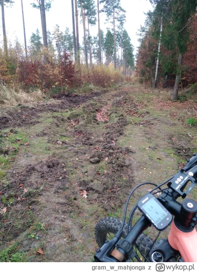 gramwmahjonga - #rower
Tak wszyscy chętnie wysyłają rowerzystów w plener. 
Tymczasem ...
