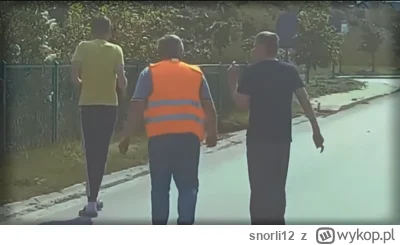 snorli12 - Sielanka Sędziszowska ( ͡° ͜ʖ ͡° )つ──☆*:・ﾟ #kononowicz #suchodolski #barne...