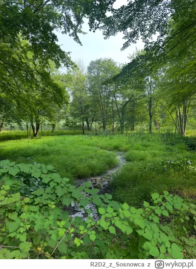 R2D2zSosnowca - @R2D2zSosnowca sierpniowe