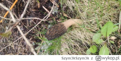 Szym3kSzym3k - Co mi w ogrodzie wyrosło? Smardz? #grzyby