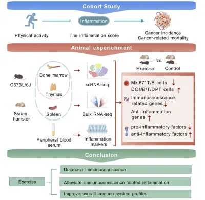 XeNinja - Aktywność fizyczna i nowotwory.

Na łamach „Cell Reports Medicine” opubliko...