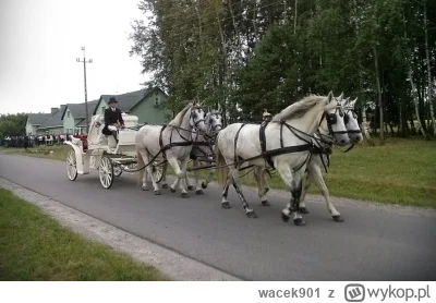 wacek901 - Widać da się zapiąć 4 + konie do jednej dorożki więc wychodzi na to że Jan...