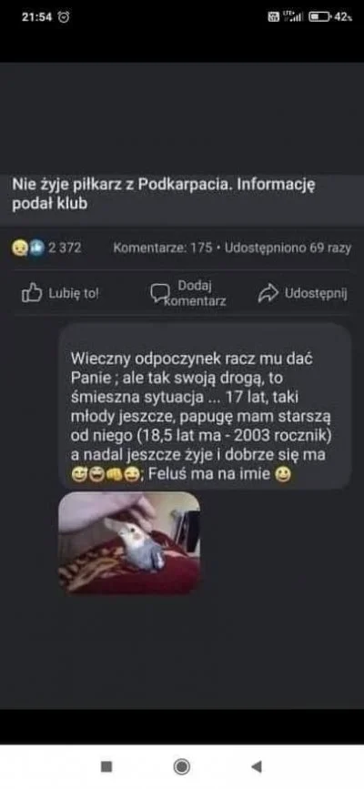 walokid - > bo reszta poumierała

@1234rfdcfvghytrewsedrgyj: