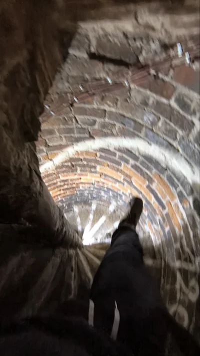 Pesa_elf - Jednak ciekawostka krążąca jakiś czas temu w internecie o wąskich schodach...