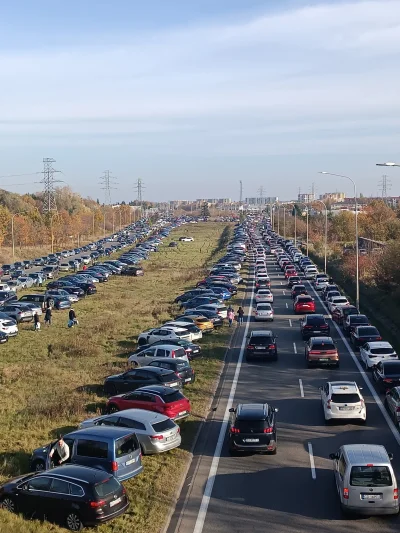 SanczoPansaFromVillage - #polska