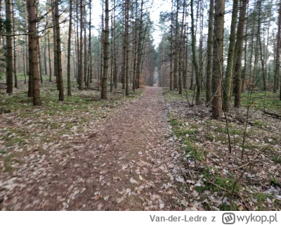 Van-der-Ledre - No to jestem w lesie, ponure tereny, tak jak moje życie wsumie. Zimno...