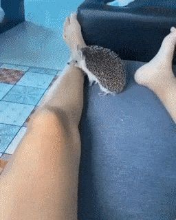 wfyokyga - Śmierć Achillesa koloryzowane