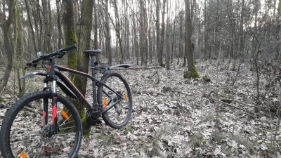 ryrzzjapkami - Dajcie wsparcia, żeby to zimno nie straszyło...
#rower #las #wiosnomtr...