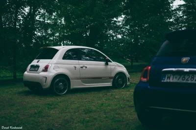 robsosl - #carboners #samochody #motoryzacja #fiat #abarth