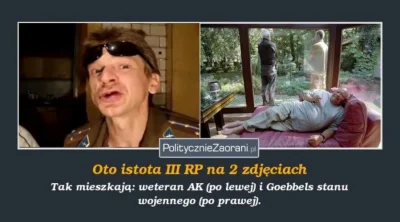 PociesznyGolem - #kononowicz #Suchodolski #siurekbozy #polskiyoutube