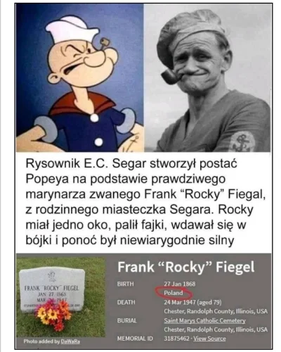 lajsta77 - Popeye był Polakiem #ciekawostki #kreskowki #polak