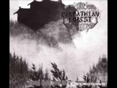 Mortadelajestkluczem - #blackmetal #metal #carpathianforest