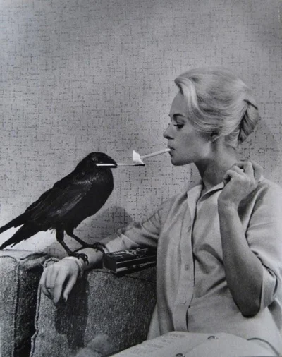 sweet-candy - Tippi Hedren z filmu "Ptaki" #ciekawostki #heheszki