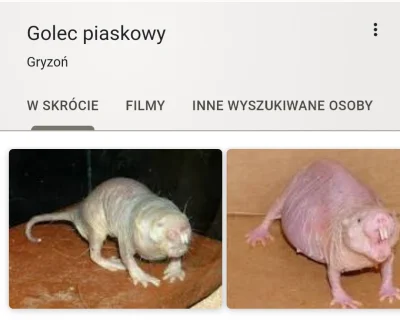 Szczerzuja - Jak ja go nienawidzę