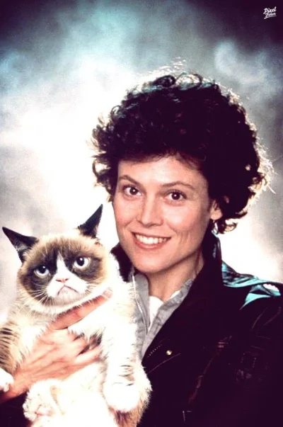 w.....z - #alien #obcy #grumpycat #filmy #sigourneyweaver