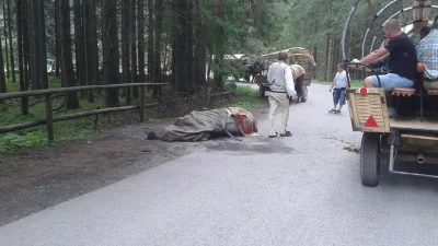 SerniczeQ - Dziś kolejny koń padł w drodze na Morskie Oko. Jadący z boku ludzie pewni...