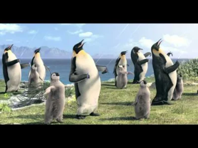 dojczszprechenicht - @highlander: pingwiny > alkozebra