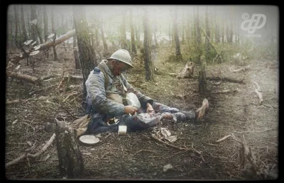 myrmekochoria - Francuski żołnierz zastrzelony podczas posiłku, Francja 1915.

Gale...