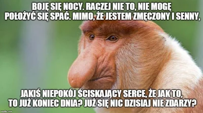 Felix_Felicis - #heheszki #humorobrazkowy #polak #nosaczsundajski #nosacz #feels #nos...