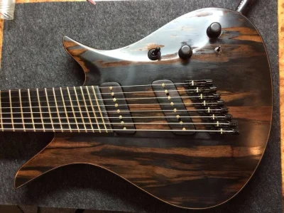 venomalus - #woodboners #guitarporn