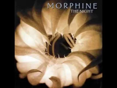 Istvan_Szentmichalyi97 - Morphine - The Night (Alternate Version)

#muzyka #szentmuza...