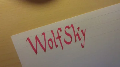 namuzowywanie - @WolfSky: pozdrawiam ( ͡° ͜ʖ ͡°)